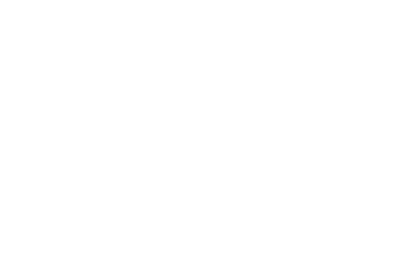logo_alfa_weiss