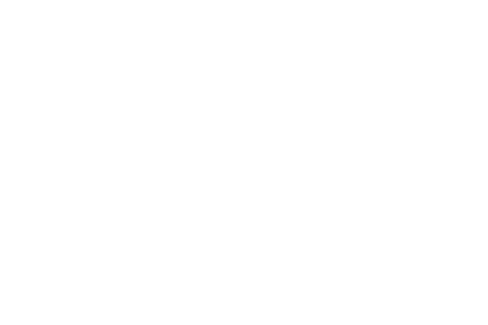logo_ele_weiss