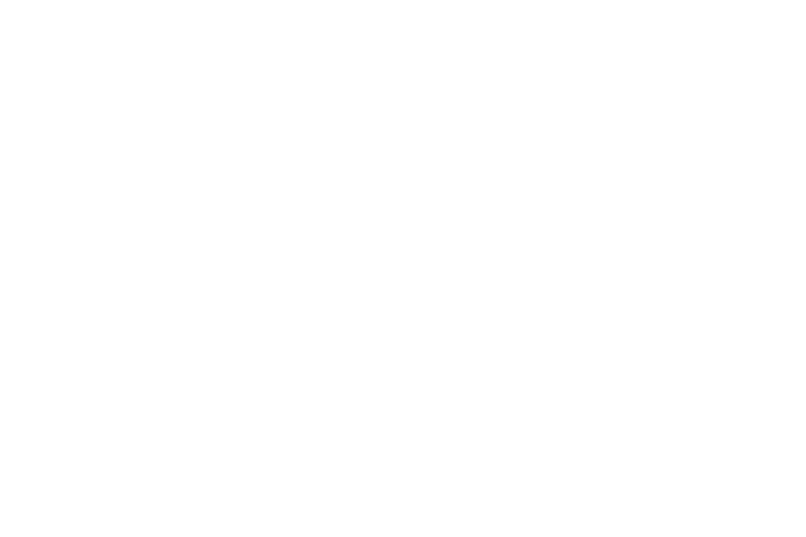 logo_emergy_weiss