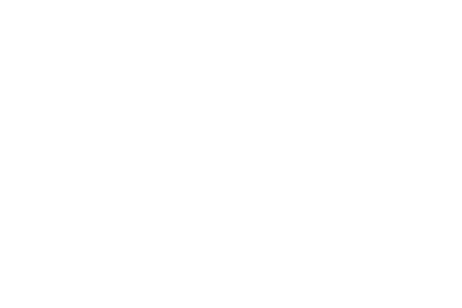 logo_yncoris_weiss